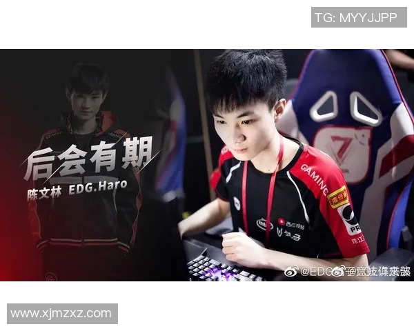 城市赛积分榜更新LNG战队以62分稳居第一名引领赛季走势